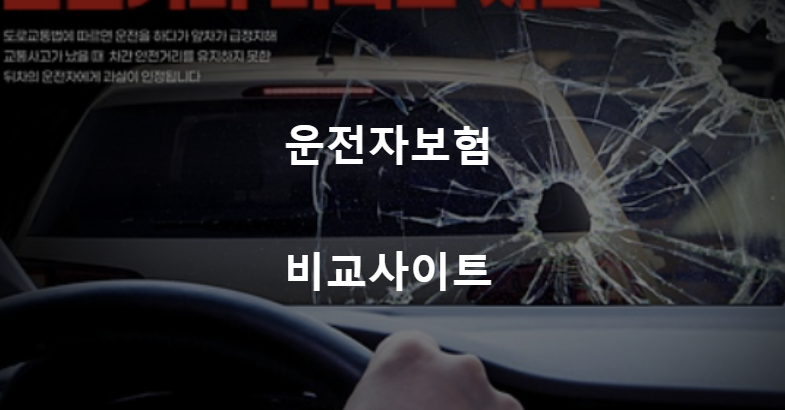운전자보험 비교사이트 3분 총정리